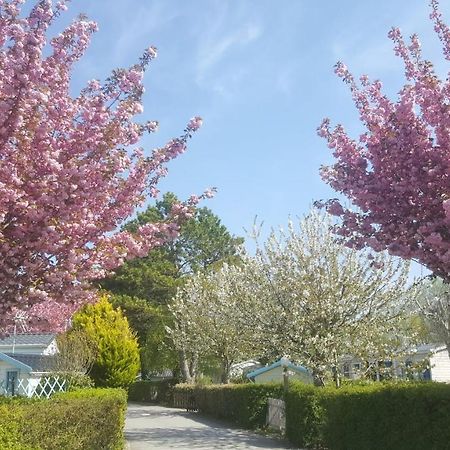 Camping Caravaning Les Cerisiers Berck Sur Mer Verton Dış mekan fotoğraf