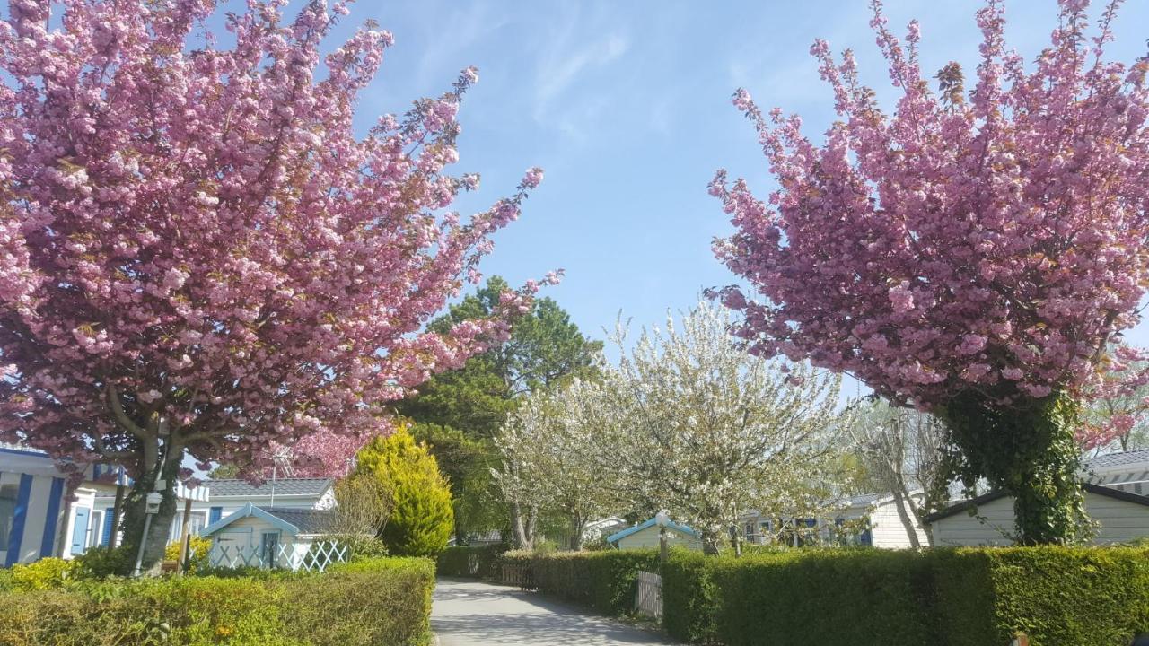 Camping Caravaning Les Cerisiers Berck Sur Mer Verton Dış mekan fotoğraf